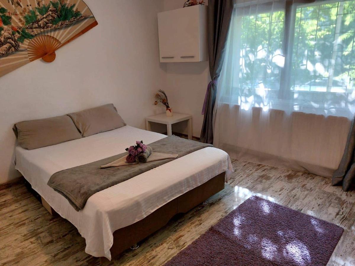 Huge 3 Apartament In City Center! Bucharest